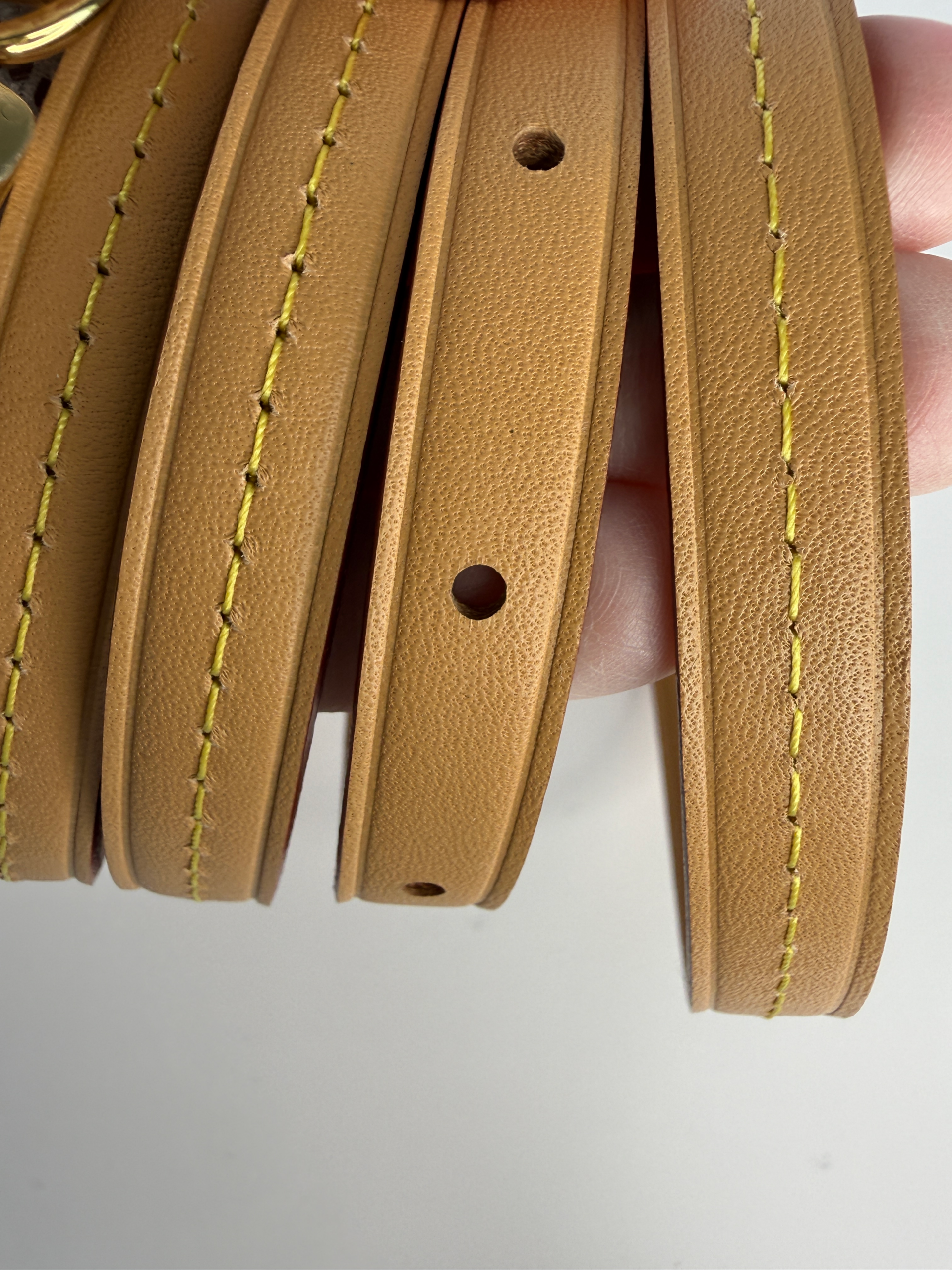 LOUIS VUITTON LOOP - Image 30